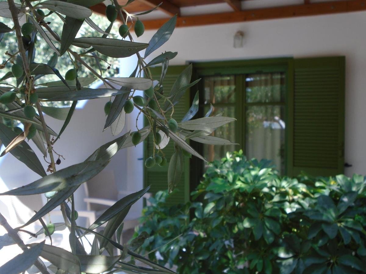 Leros Eleonas Apartments Alinda  Buitenkant foto