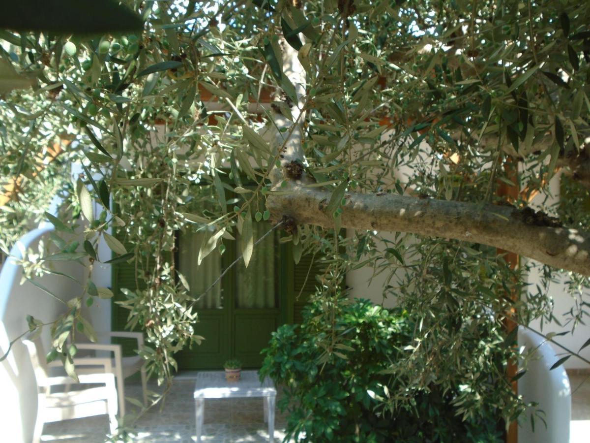 Leros Eleonas Apartments Alinda  Buitenkant foto