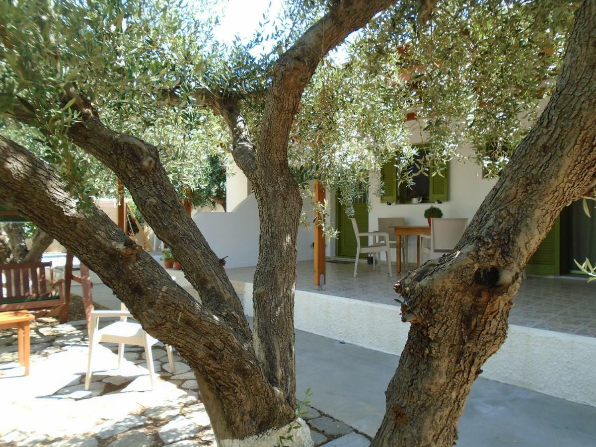 Leros Eleonas Apartments Alinda  Buitenkant foto